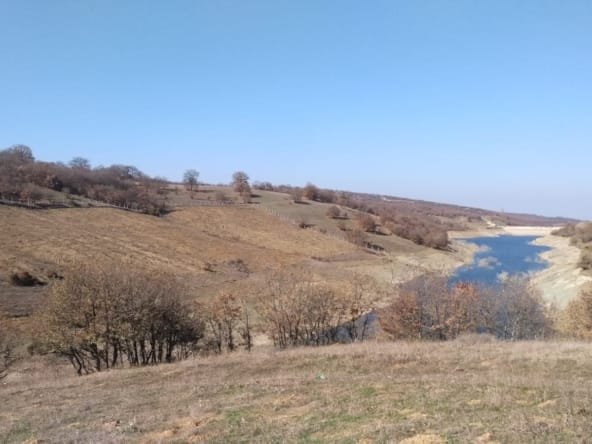 WhatsApp Görsel 2025-02-07 saat 14.46.09_cb3da750